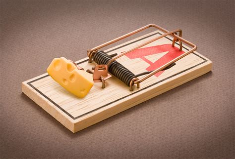 Experimental Theology: Mousetrap