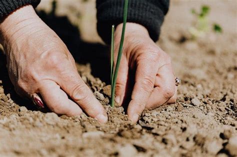 Boost Crop Production With Agronomy Courses Online - Australian Online Courses