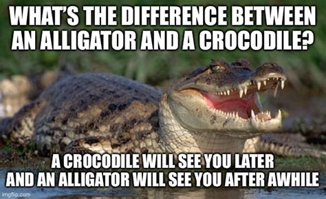 Alligator vs crocodile - Imgflip