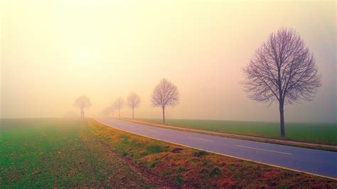 Photo of Road in the Middle of Foggy Field · Free Stock Photo