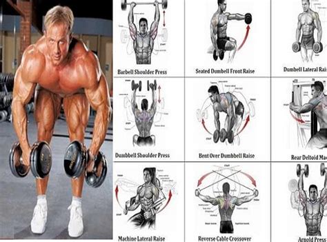 12 Best Dumbbell Exercises For Shoulders ~ www.bodybuilding110.com