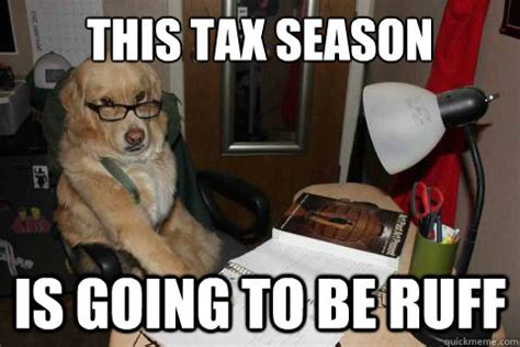 Fresh and Funny Taxes Memes & Accounting Memes