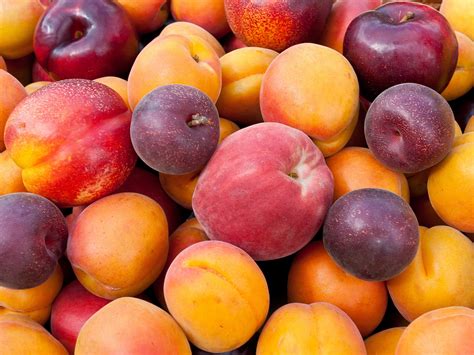 Peaches, Plums, and Nectarines Recalled Nationwide Due to Listeria ...