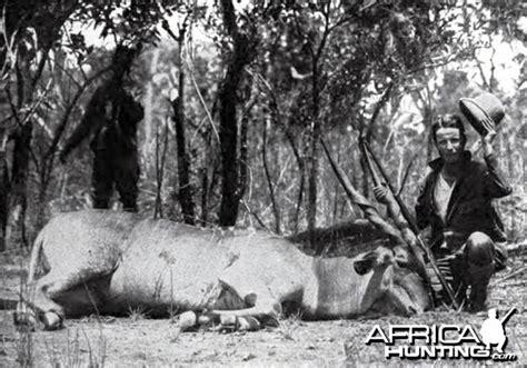 Theodore Teddy Roosevelt African Safari & Scientific Expedition ...