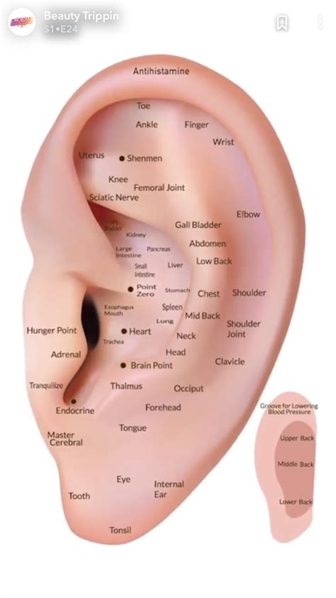 Pin by Teresa Fisher on health products | Ear reflexology, Reflexology, Knee pain relief remedies