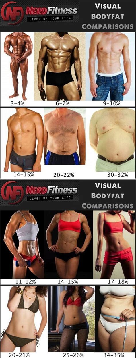 Body Fat Comparisons for Men & Women. - The body fat calculator machine says I am 20.8%. My goal ...