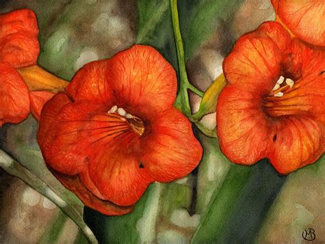 Orange Flowers Painting - Orange Flowers Fine Art Print | Flower painting, Painting, Flower art