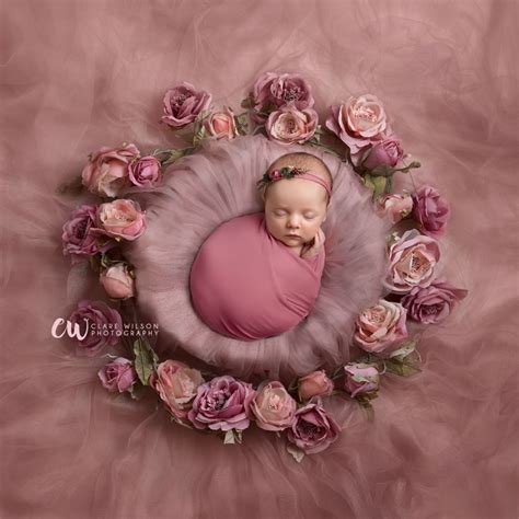 Pink roses digital background for newborn photography | Newborn ...