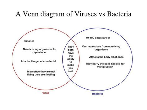 Diagram Of Virus