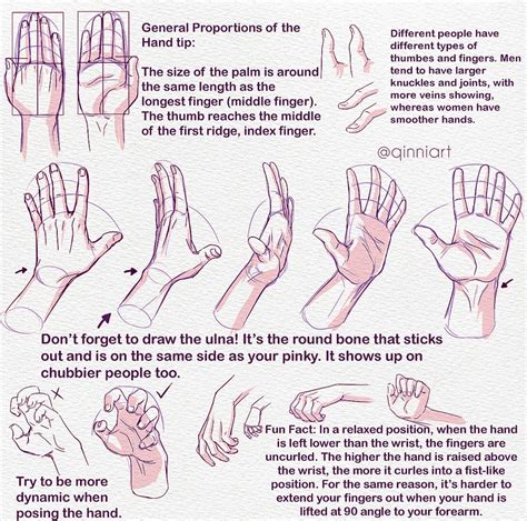 Pin by Jasiel Orta on Tips Anatomy | Hands tutorial, Drawings, Drawing tutorial