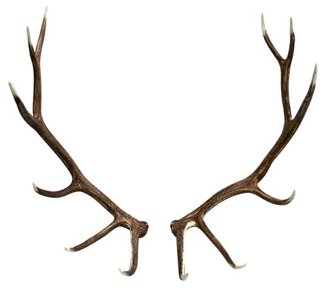 Free Skull Antlers Cliparts, Download Free Skull Antlers Cliparts png ...