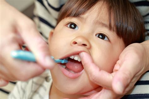 Gentle Care for Your Baby’s Teeth: Toothbrush in Malaysia | IFF