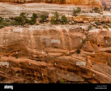 Lithification of sand dunes is the process turning unconsolidated sand ...