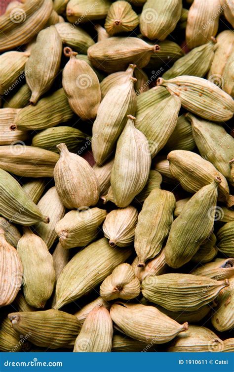 The cardamom seeds stock image. Image of seed, ingredient - 1910611