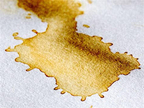 How to Remove Coffee Stains: Clothes, Carpet, Teeth and More