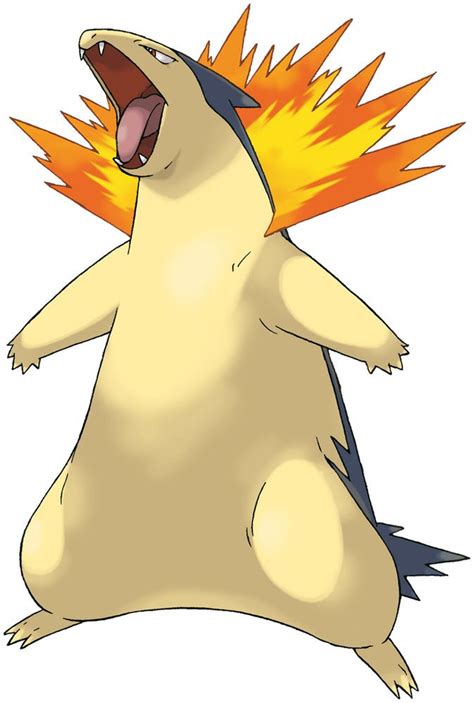 Typhlosion Pokédex: stats, moves, evolution & locations | Pokemon art, Fire type pokémon, Pokemon