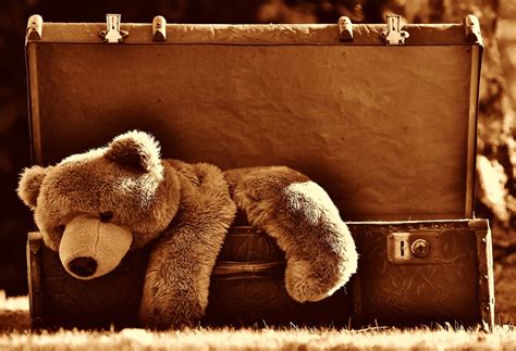 Free Images : leather, antique, mammal, junk, luggage, teddy bear ...