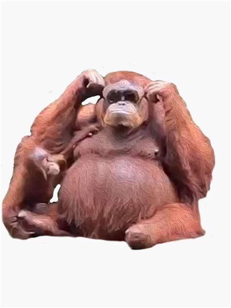 "Orangutan Sunglasses Meme" Sticker for Sale by memedealerz | Redbubble