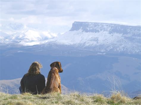 A Dog's Life: Take a Hike! Tips for Hitting the Trails with Your Dog