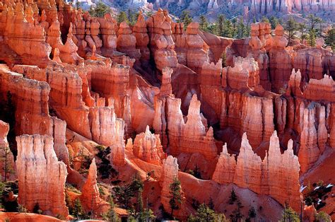 Bryce Canyon Hoodoos Photograph by Rod Irvine