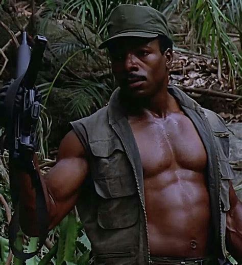 Come on Predator ill take you......Carl Weathers | Carl weathers, Hollywood, Pro bodybuilders