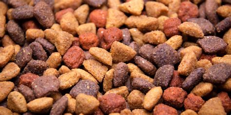 15 Best Dog Foods For Poodles (w/ Feeding Requirement Charts)