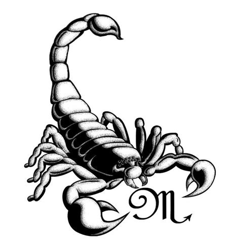 Free Scorpion Drawing Cliparts, Download Free Scorpion Drawing Cliparts ...