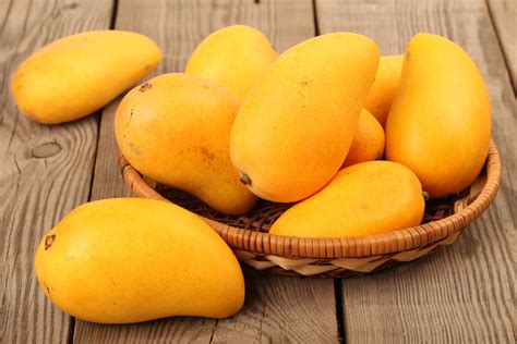 Harvest and Demand Updates for Mangoes: The Philippines, South Africa, Mexico, India