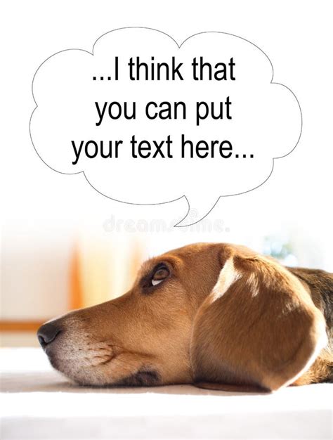 Thoughts of dog stock image. Image of thinking, idea - 38935589