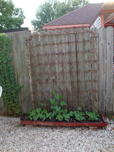 Pin by Elaine Barron on Outside ideas | Backyard garden layout, Garden boxes diy, Garden layout