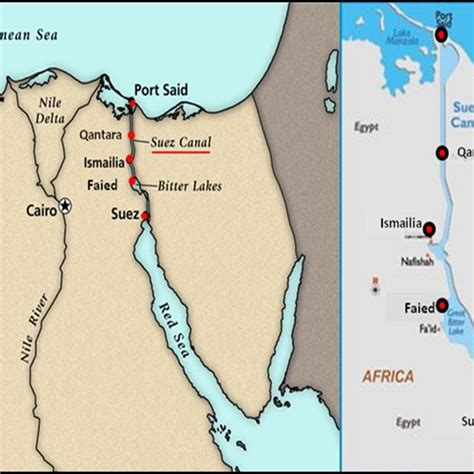 Total number of macroalgal species in the studied sites along Suez Canal. | Download Scientific ...