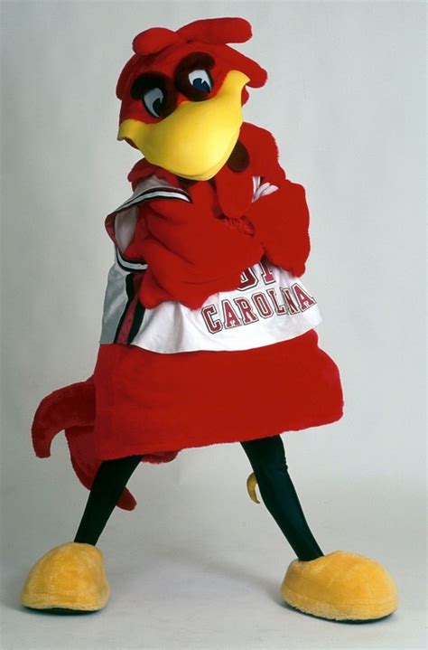 Cocky is the mascot of the University of South Carolina. | South ...