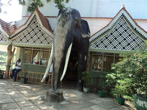 Pinnawala Elephant Orphanage