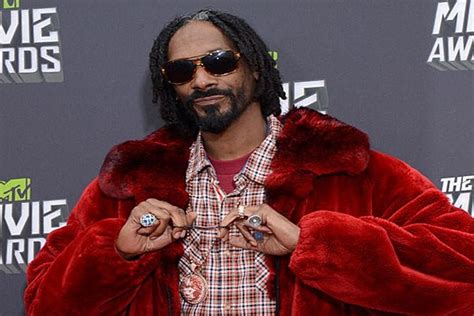 Snoop Lion Shares His Five Favorite Reggae Songs (EXCLUSIVE)