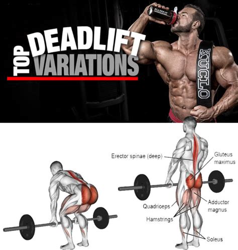 RDL VS STIFF LEG DEADLIFT