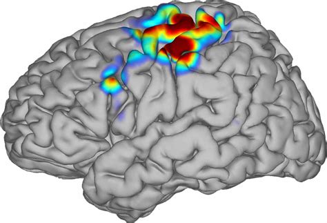 Research : Brain Mapping Laboratory