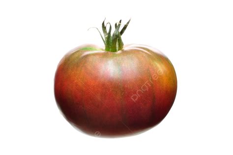 Heirloom Tomato Carnivorous, Carnivore, Pot, Nepenthes PNG Transparent Image and Clipart for ...