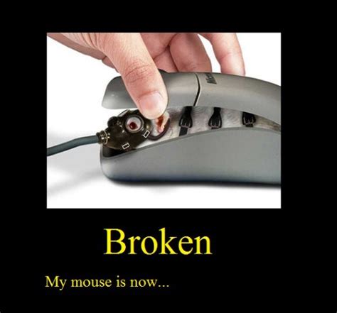 Broken Mouse | imghumour