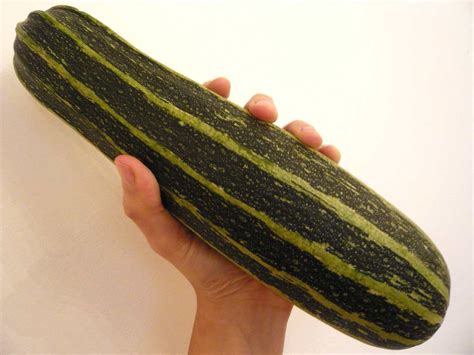 14 Proven Health Benefits of Eating Vegetable Marrow - How To Ripe