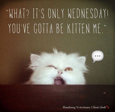 Humor Happy Wednesday Images And Quotes