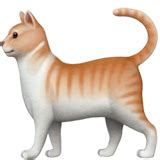 🐈 Gato Emoji on Apple iOS 11.2