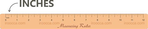 Types of rulers - adultjulu
