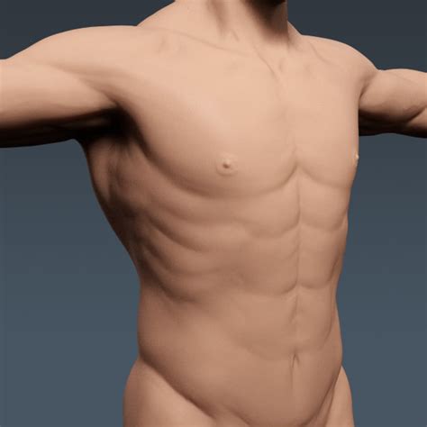 3d model realistic human male body