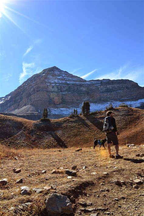 Katie Wanders : Mount Timpanogos, Utah - Hiking to the summit on the ...