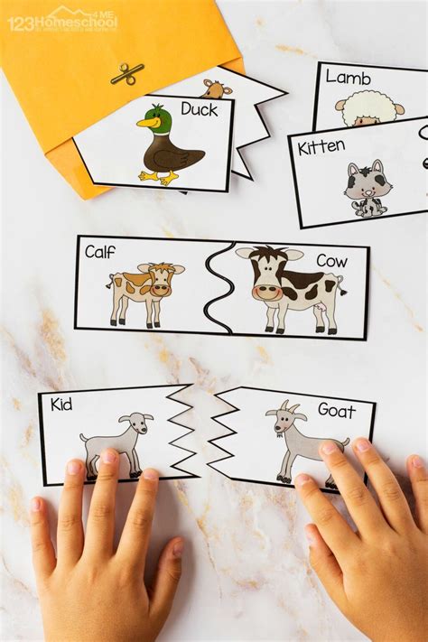 Baby animals activities printables Farm Theme Preschool Activities, Farm Animals Preschool, Baby ...