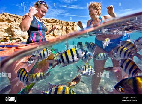 Snorkel beach Sharm El Sheikh Red Sea beach Stock Photo: 15437017 - Alamy