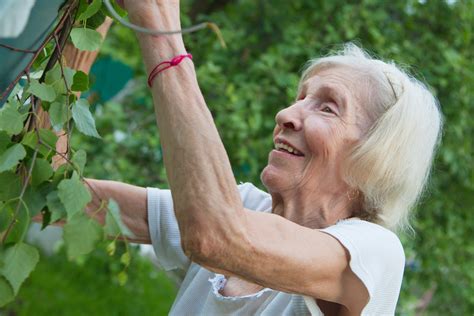 Physical Therapy For Postmenopausal Osteoporosis | Omaha | Miller ...