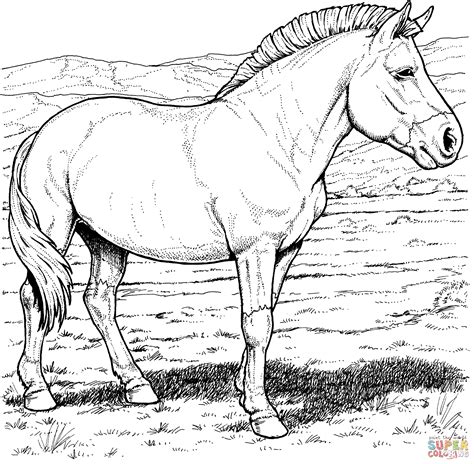 Free Free Printable Realistic Horse Coloring Pages, Download Free Free ...