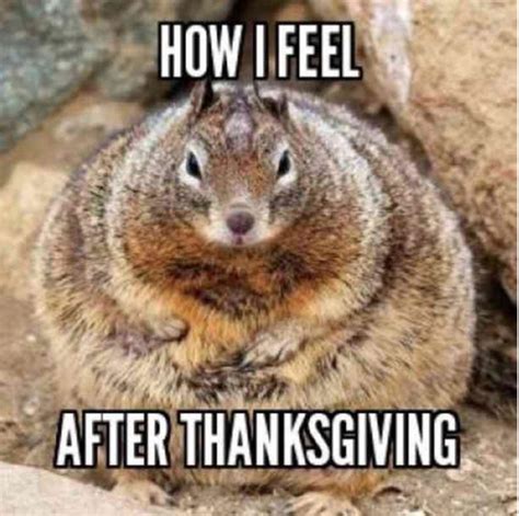 Funny Thanksgiving Memes That Make You Laugh Out Loud