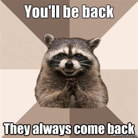 You'll be back They always come back - DLI real Scheming raccoons ...